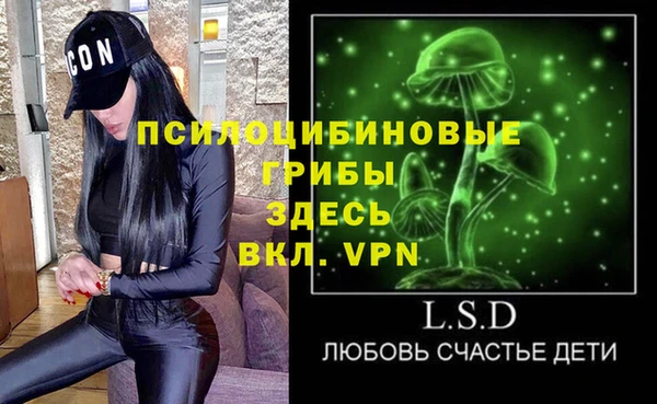дмт Кулебаки