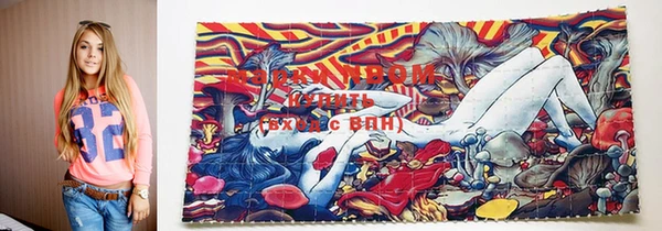 дмт Кулебаки